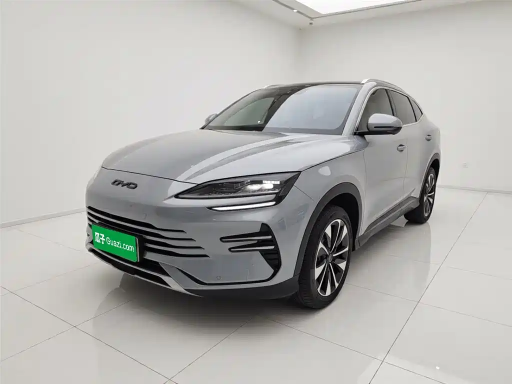 BYD PLUS New Energy 2024