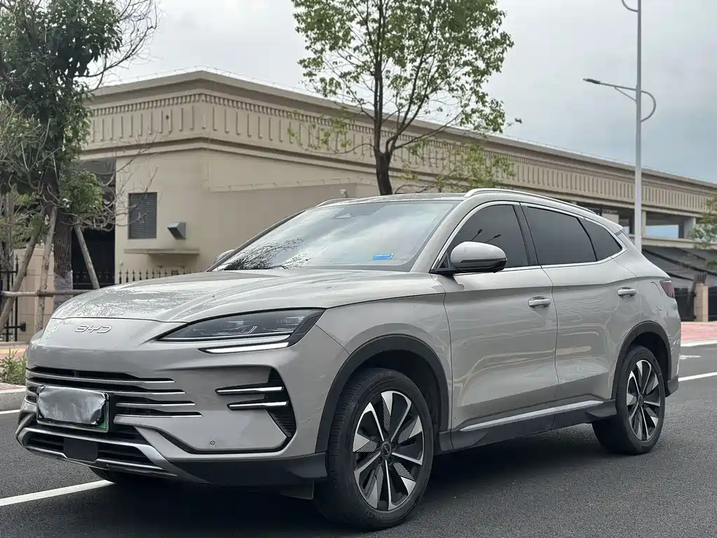 BYD PLUS New Energy 2024