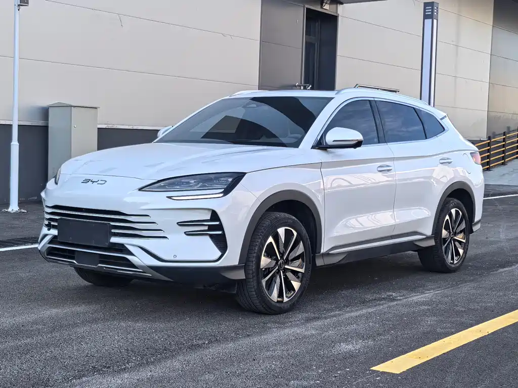 BYD PLUS New Energy 2024