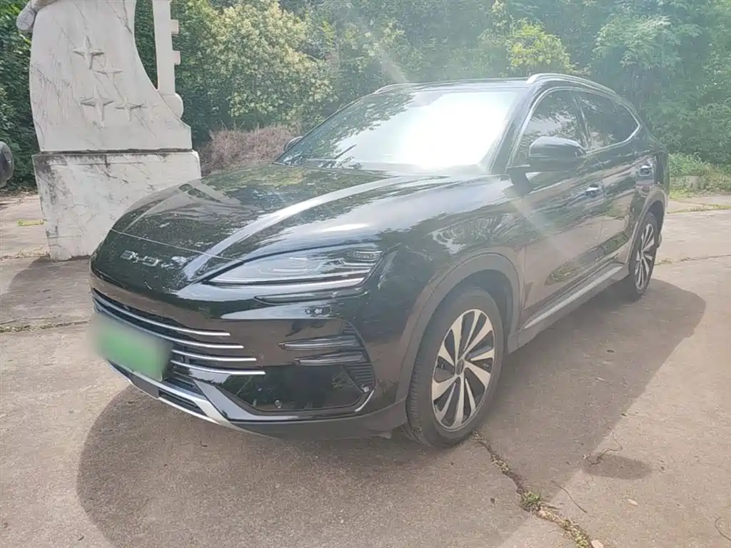 BYD PLUS New Energy 2024