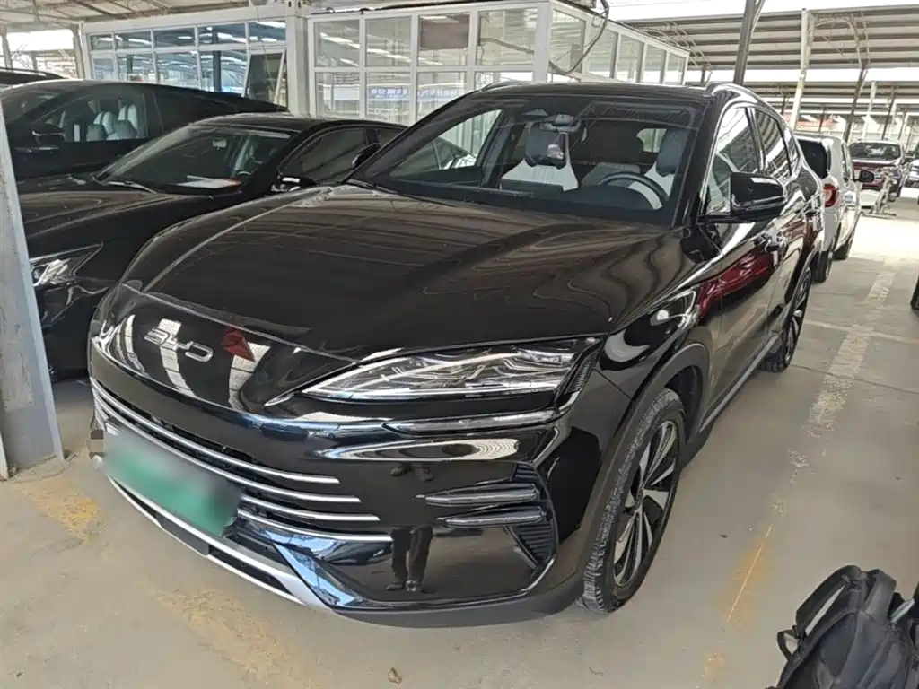 BYD PLUS New Energy 2024