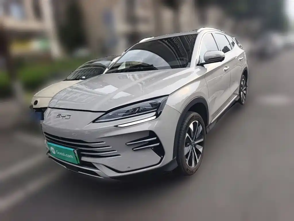 BYD PLUS New Energy 2024
