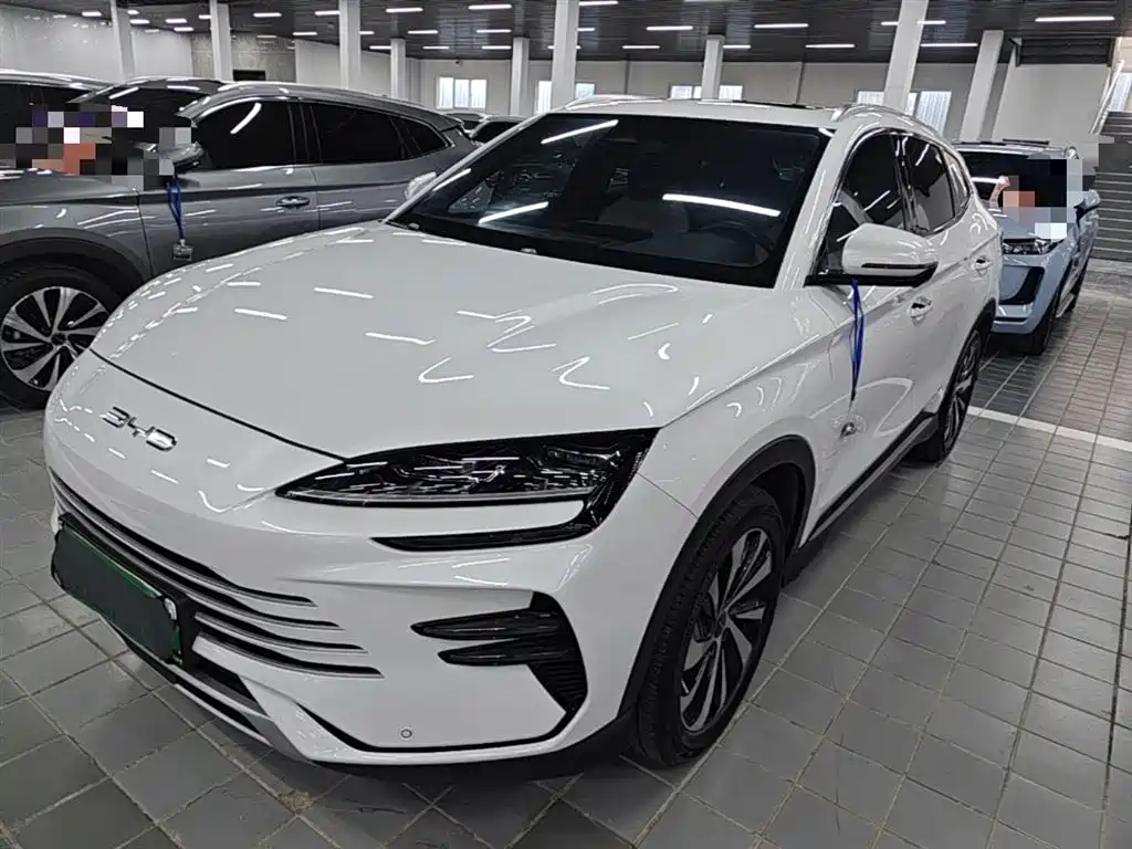 BYD PLUS New Energy 2024