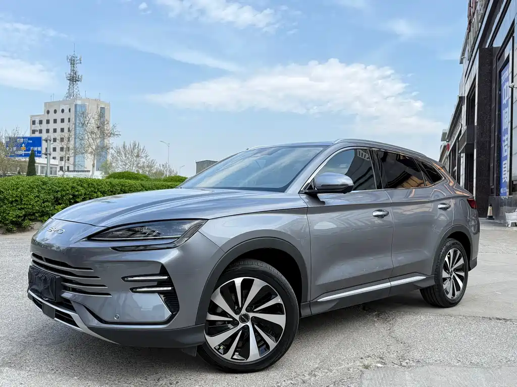 BYD PLUS New Energy 2024