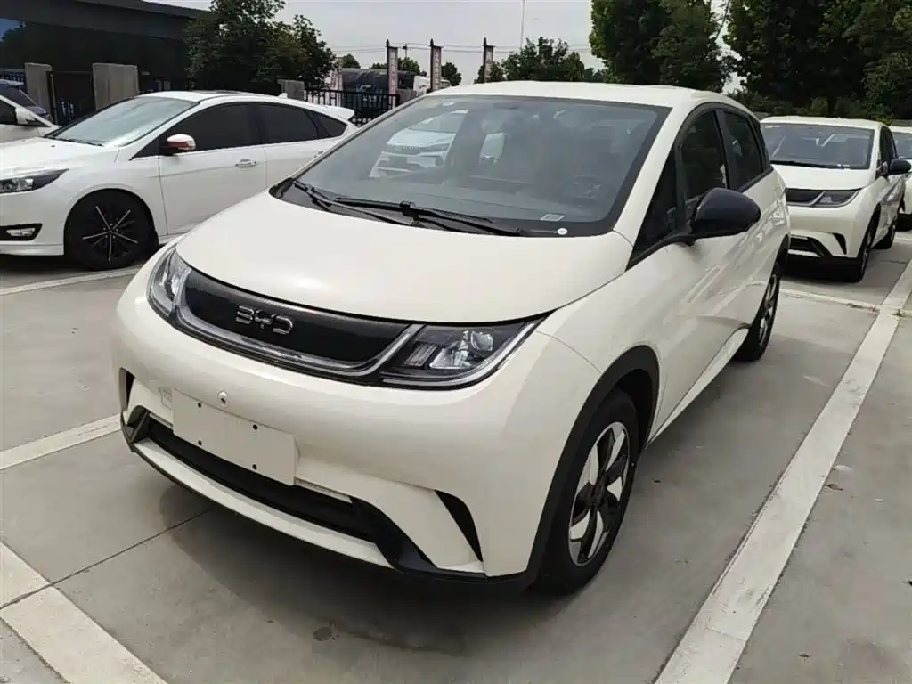 BYD Dolphin 2026