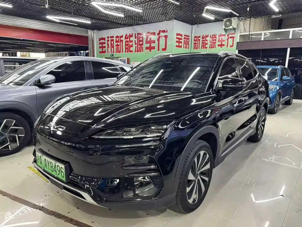 BYD PLUS New Energy 2024