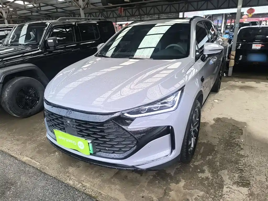 BYD Tang New Energy 2025