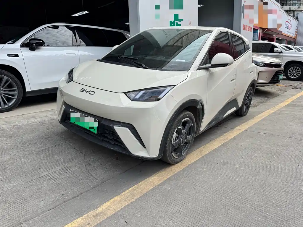 BYD Seagull 2024