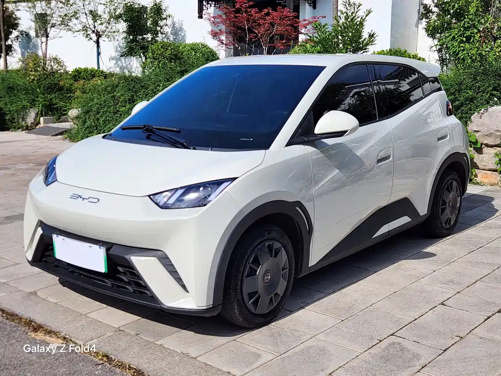 BYD Seagull 2024