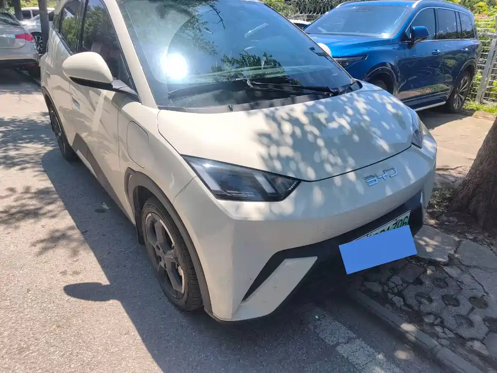 BYD Seagull 2024