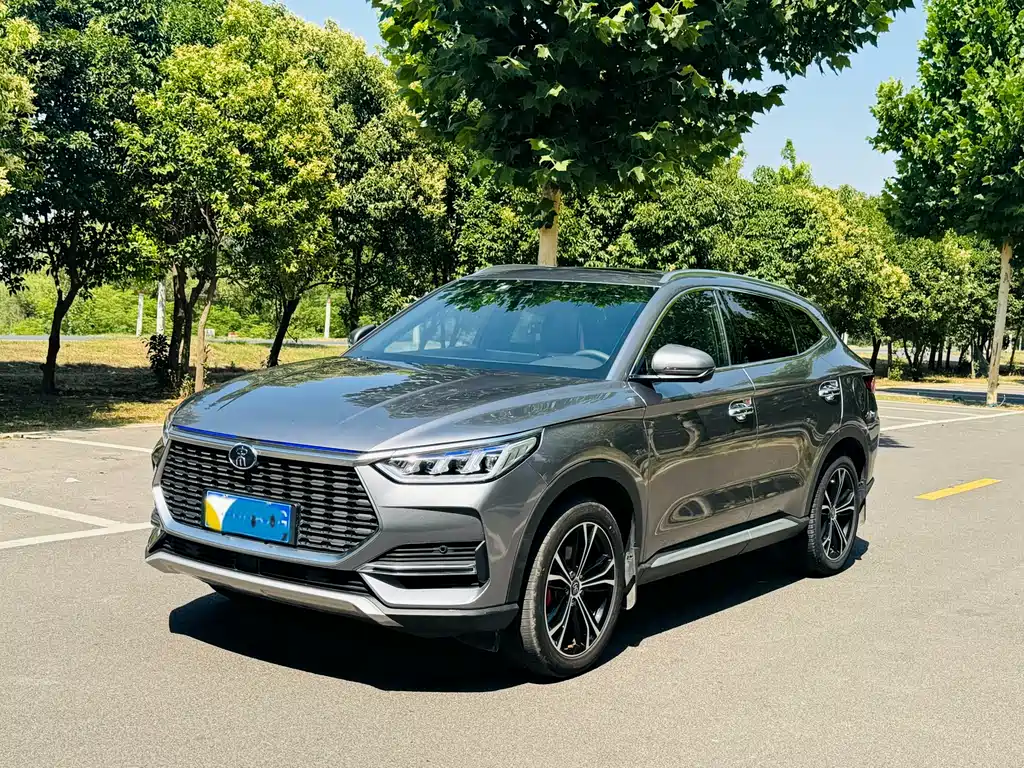 BYD PLUS 2021
