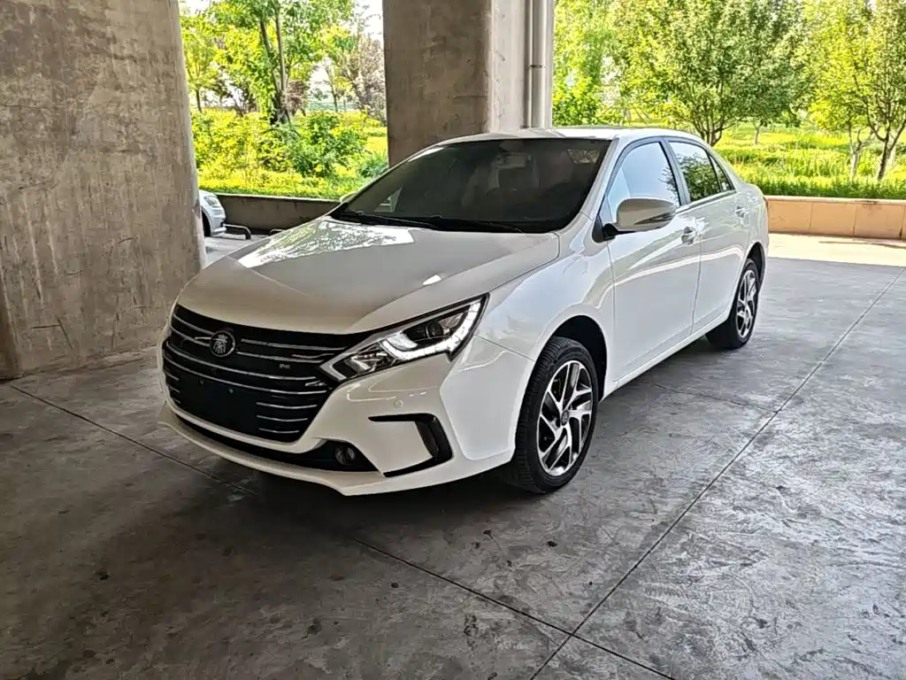 BYD Qin NEV 2019