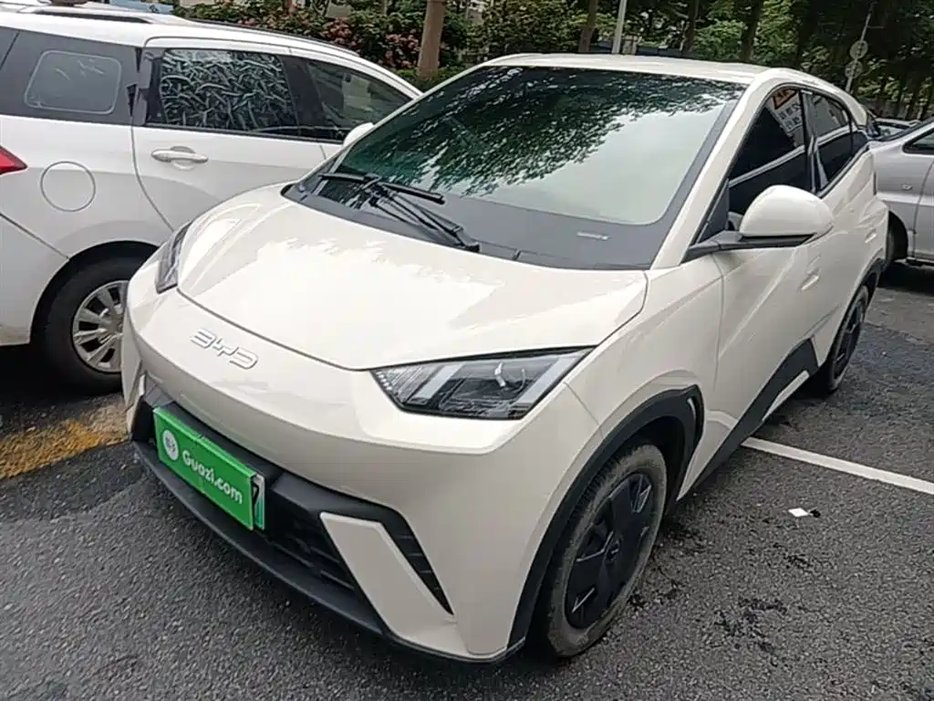 BYD Seagull 2024