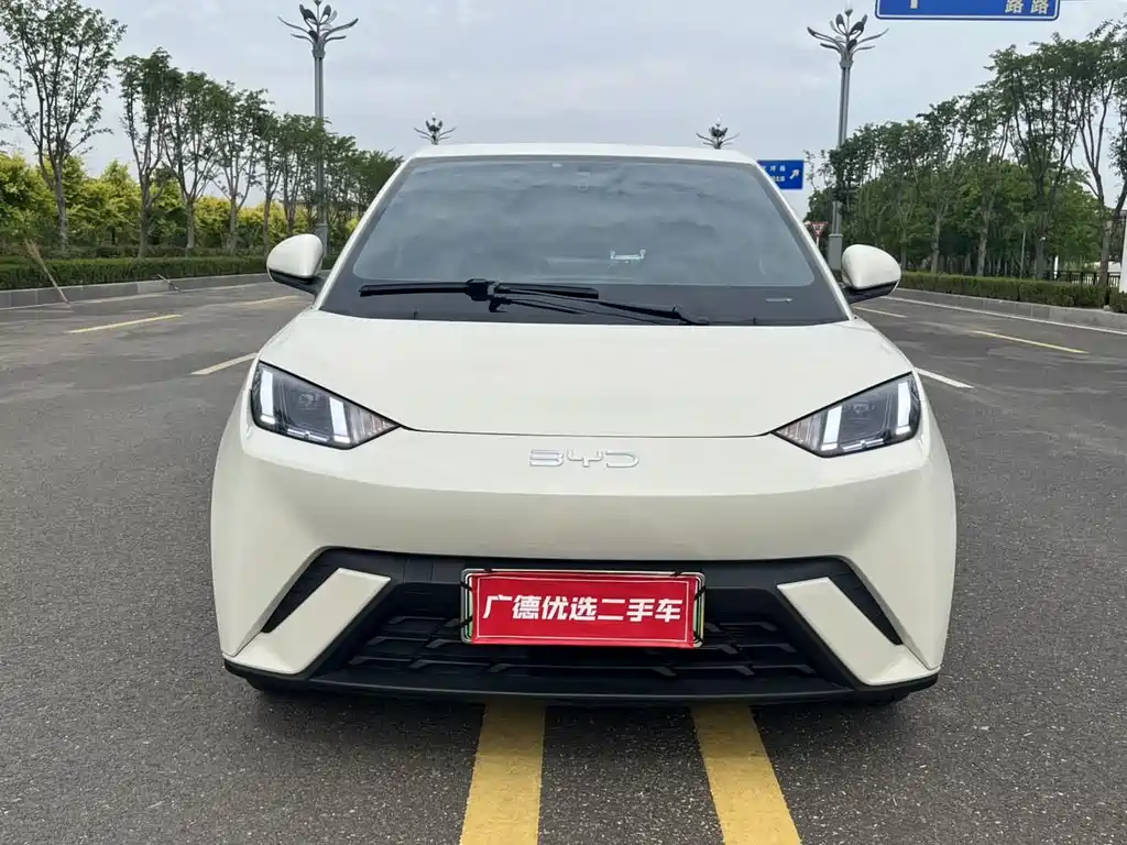 BYD Seagull 2024