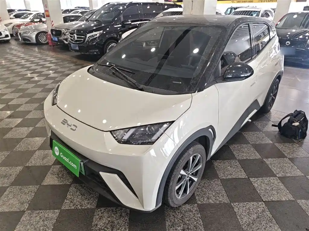 BYD Seagull 2024