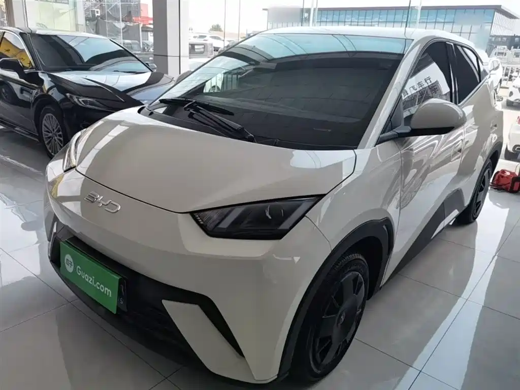 BYD Seagull 2024