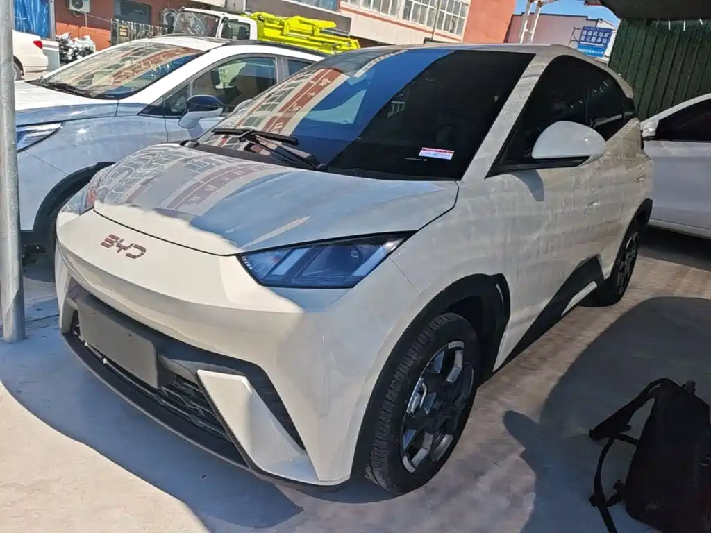 BYD Seagull 2024