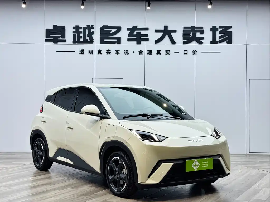 BYD Seagull 2024