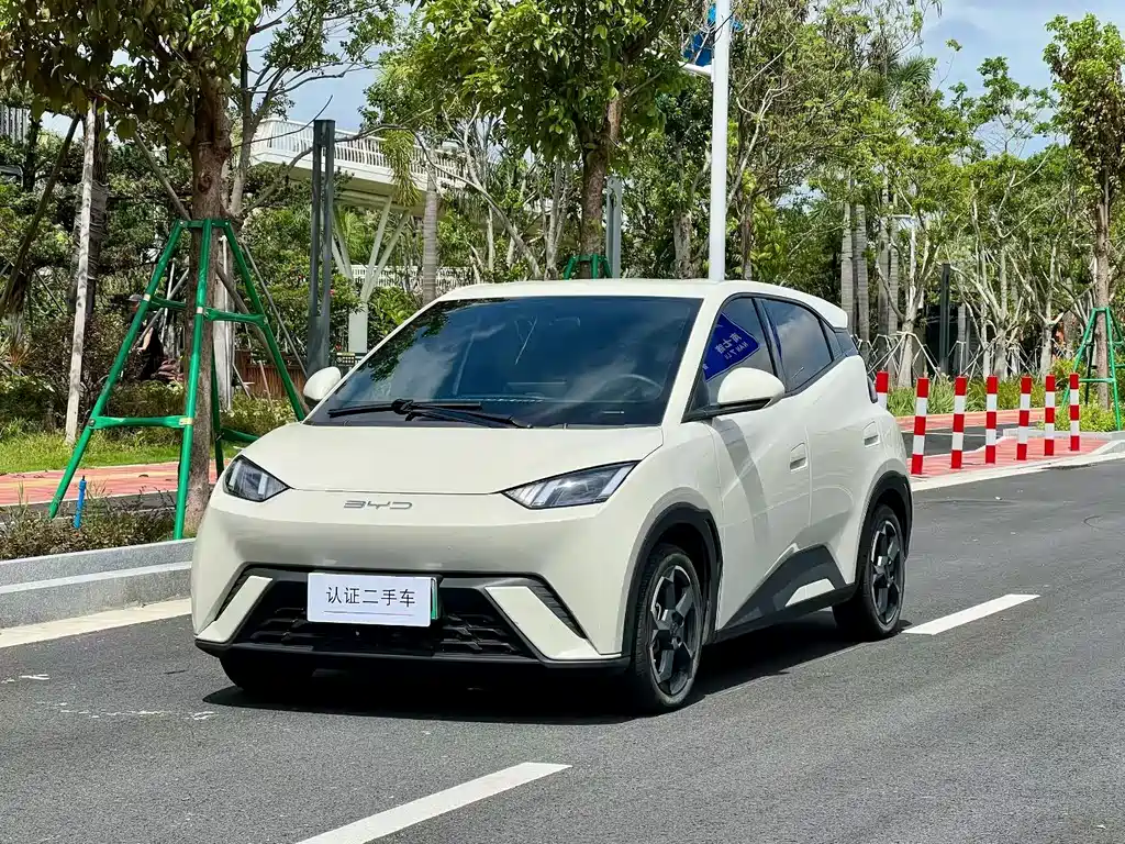 BYD Seagull 2024