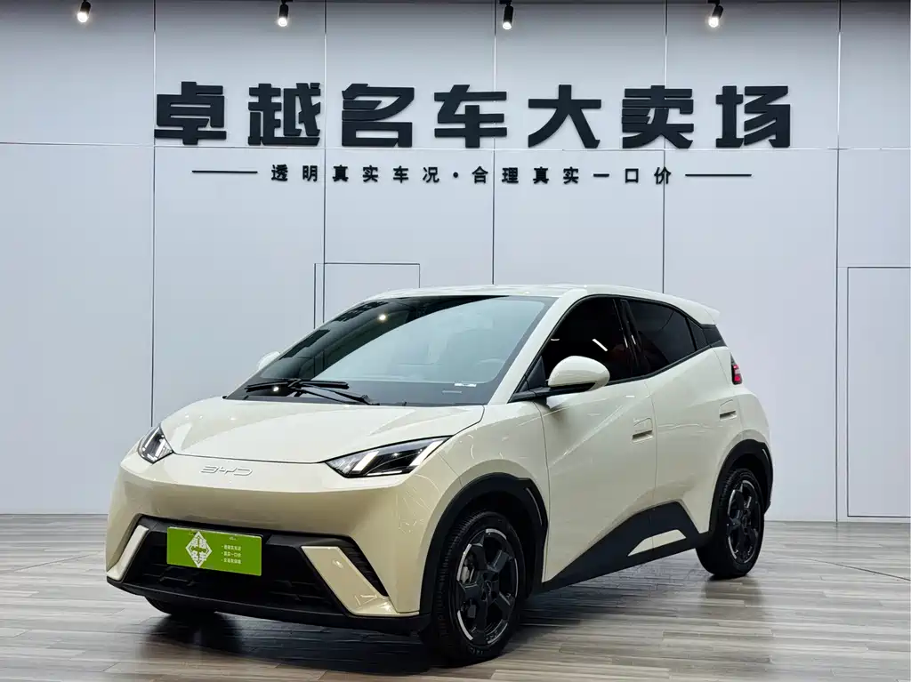 BYD Seagull 2024
