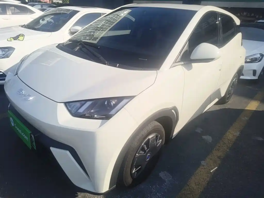 BYD Seagull 2024