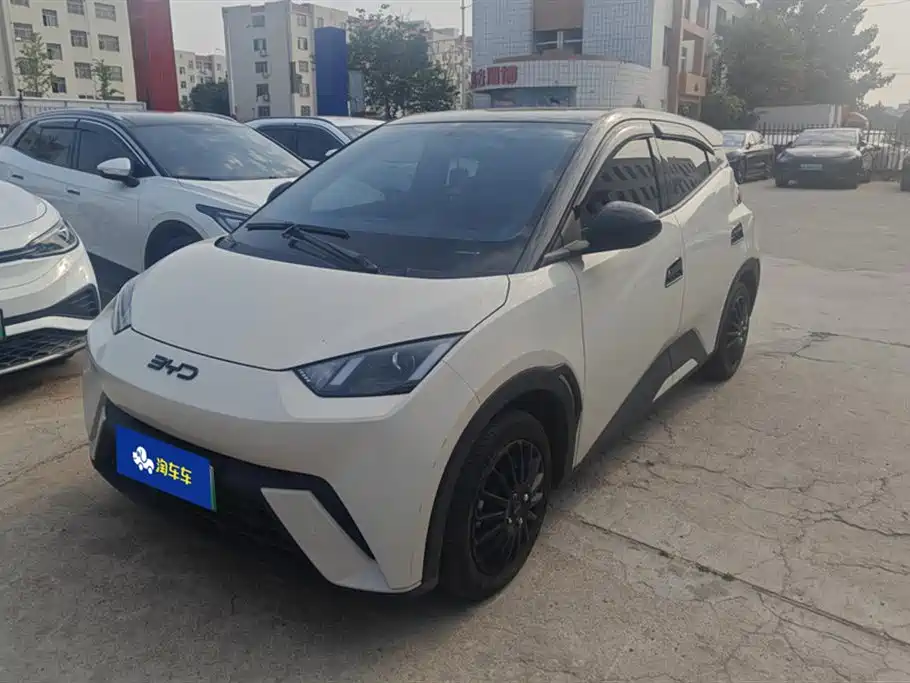 BYD Seagull 2024