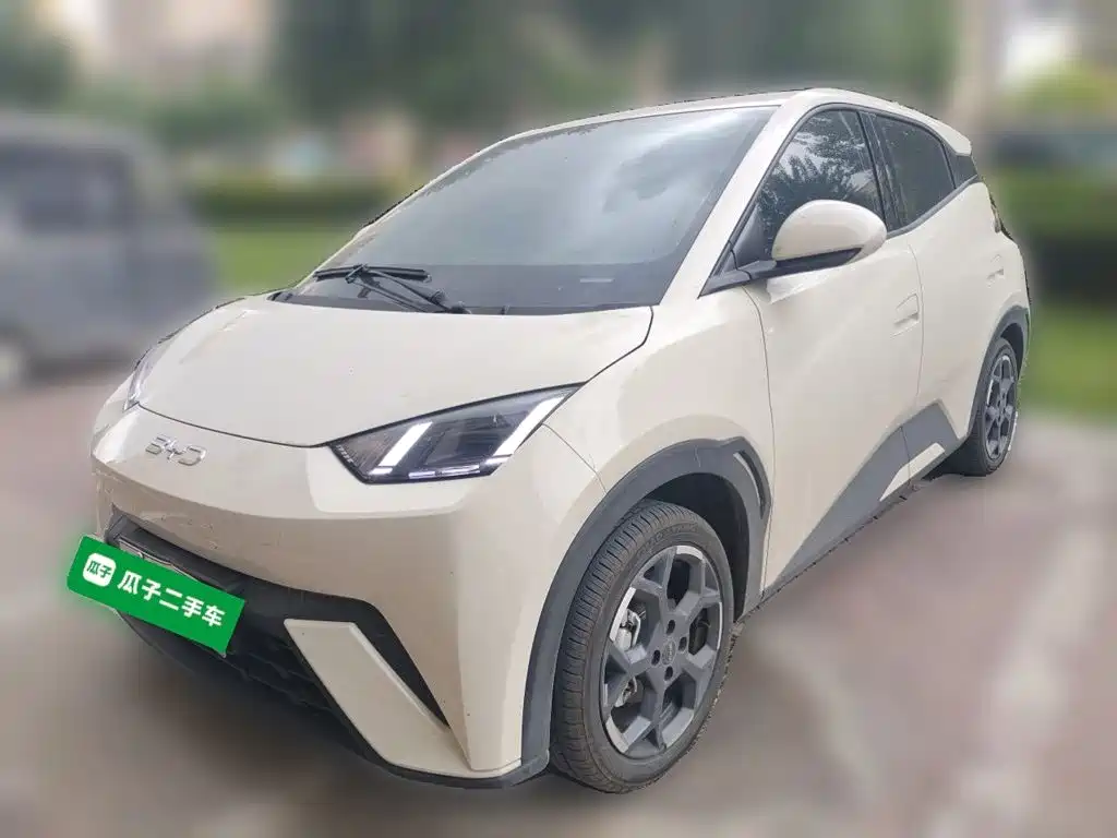 BYD Seagull 2024