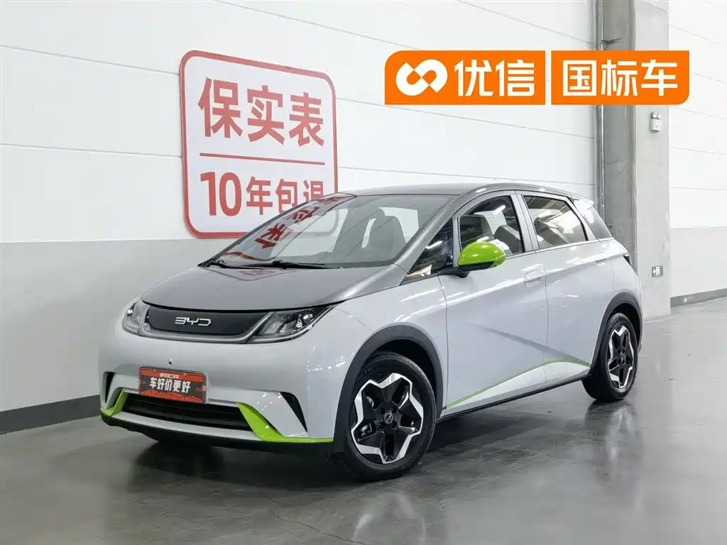 BYD Dolphin 2021