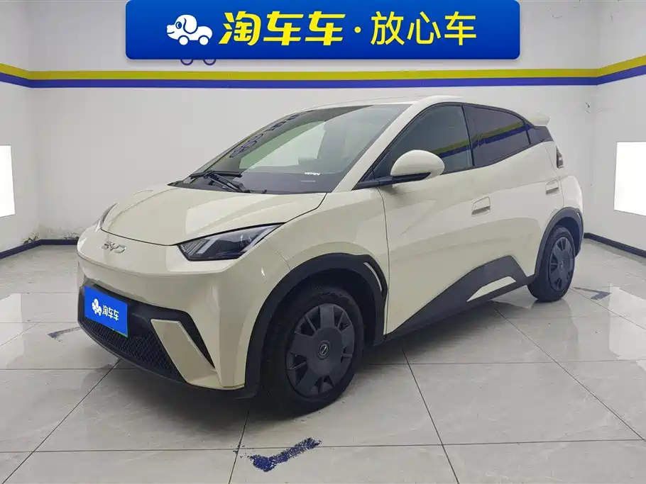 BYD Seagull 2024