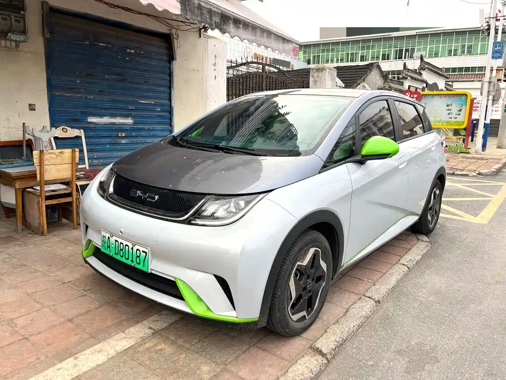 BYD Dolphin 2022