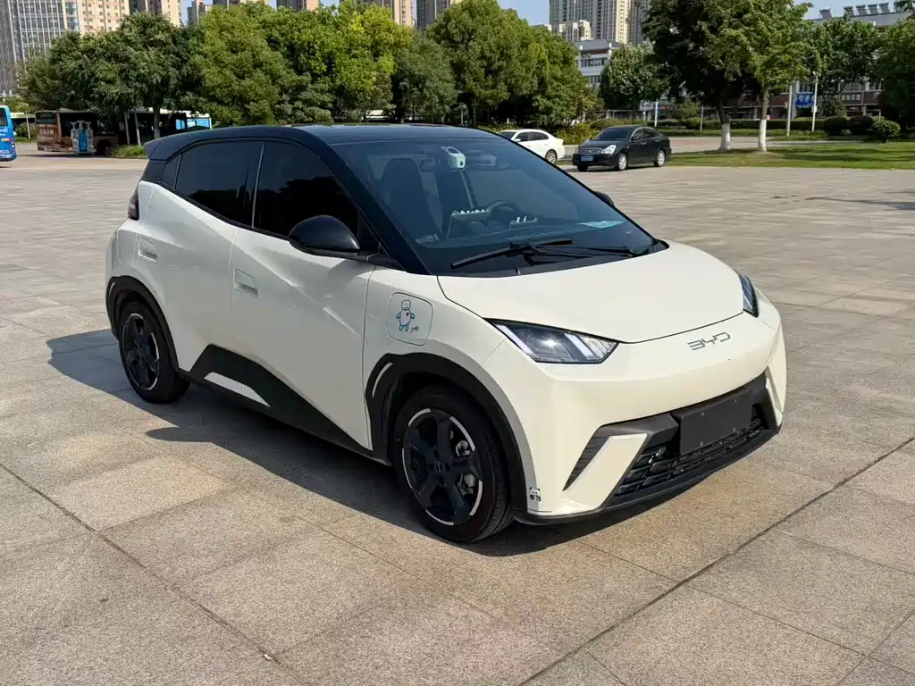 BYD Seagull 2024