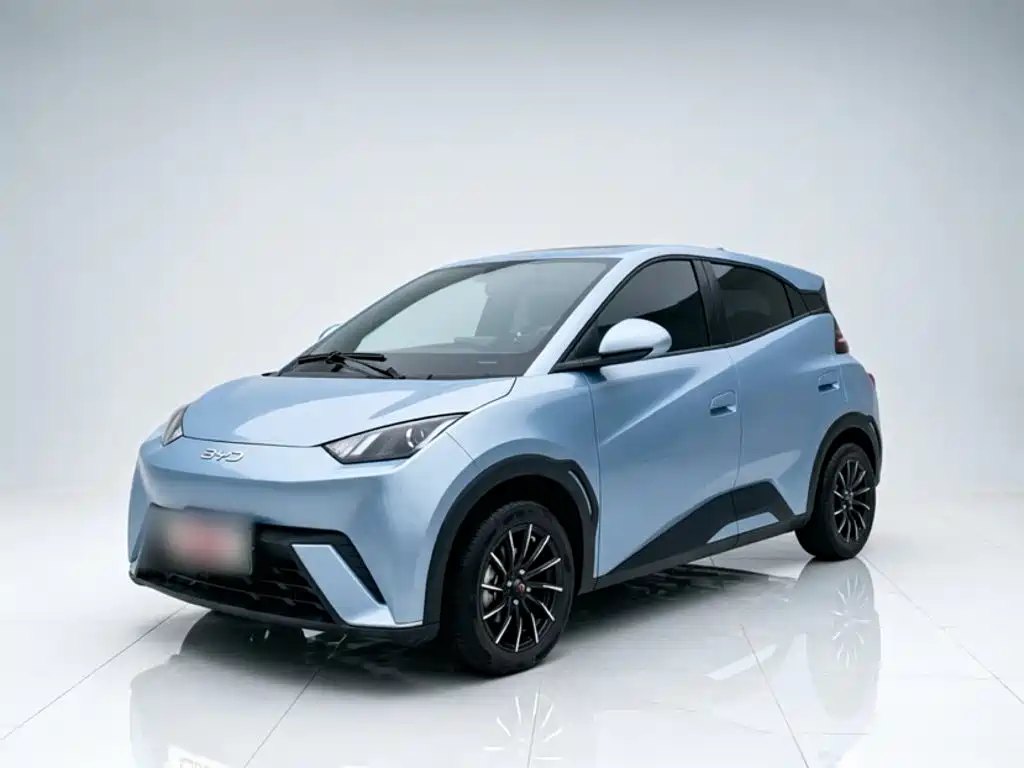 BYD Seagull 2024