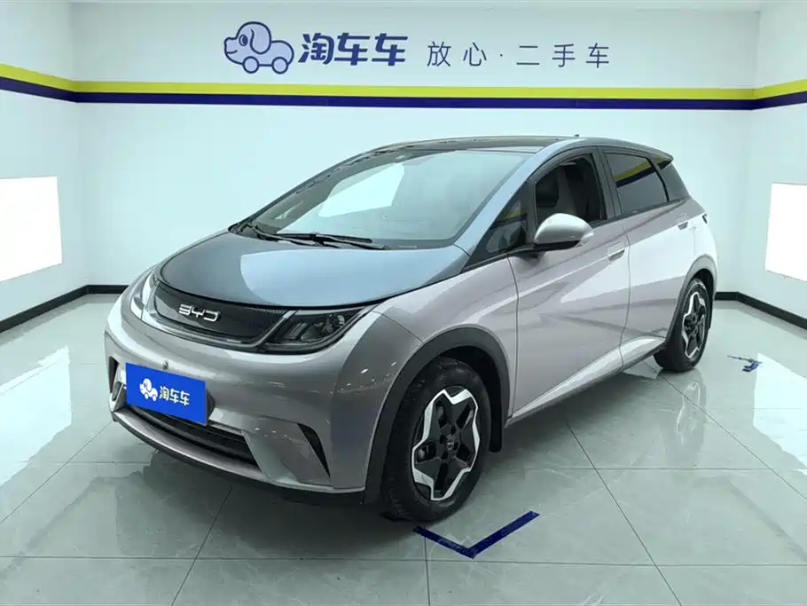 BYD Dolphin 2022
