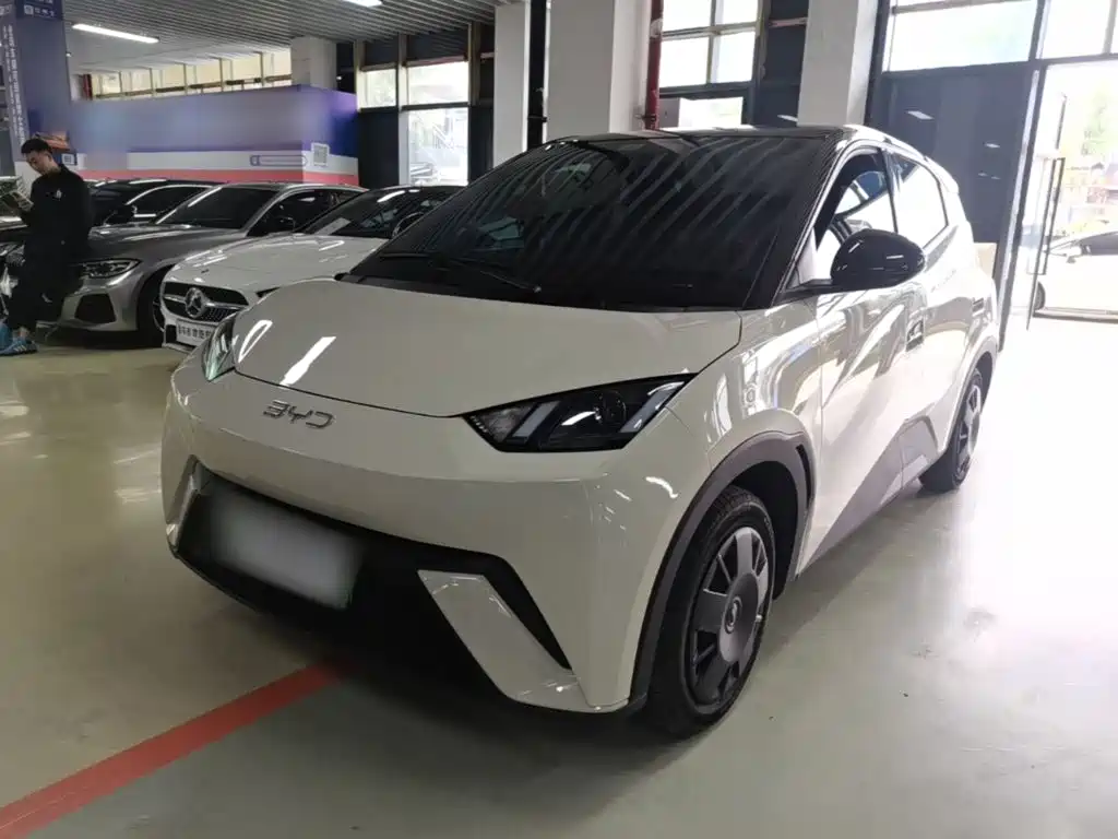 BYD Seagull 2025
