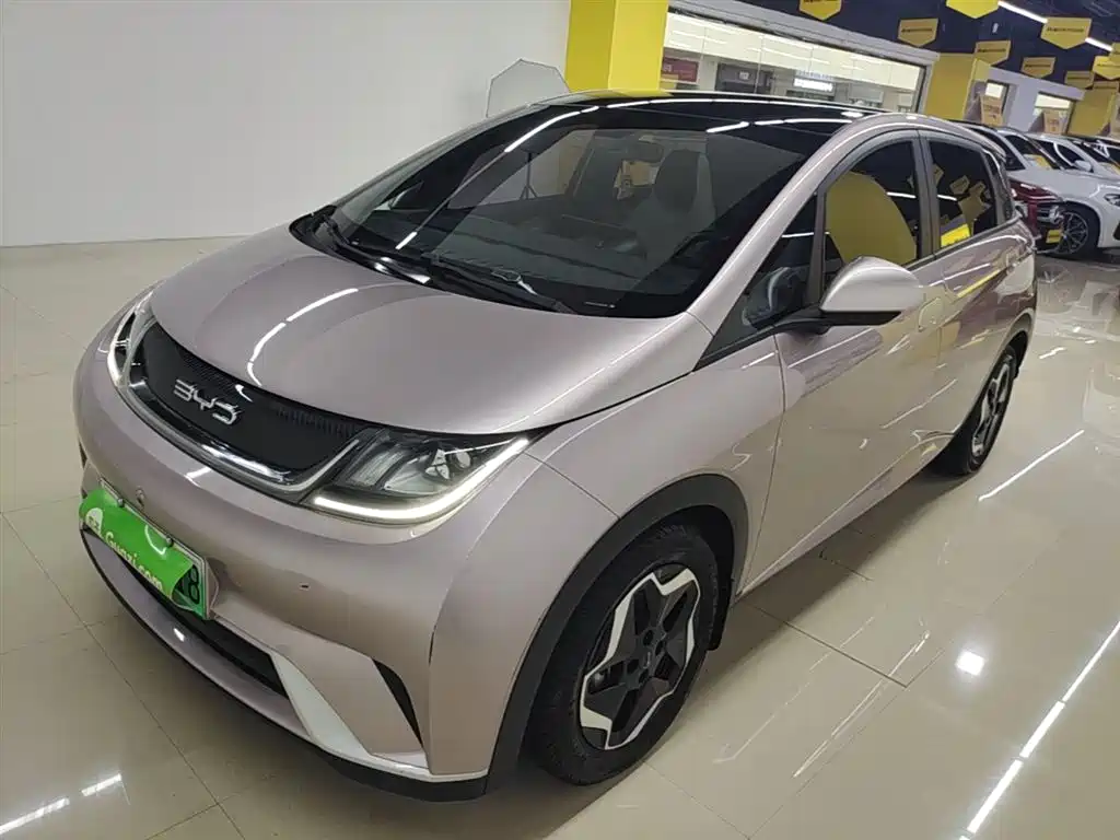 BYD Dolphin 2022