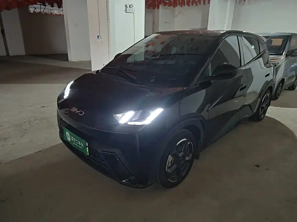 BYD Seagull 2024