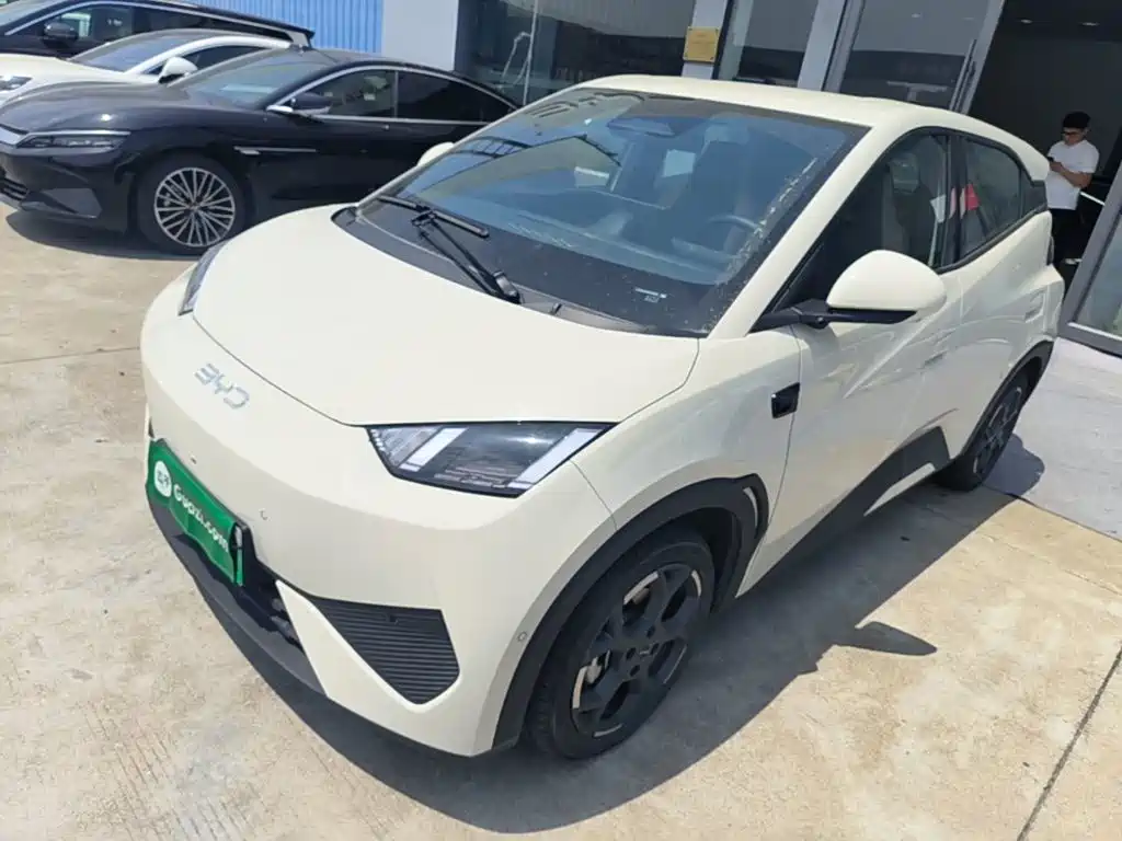 BYD Seagull 2025