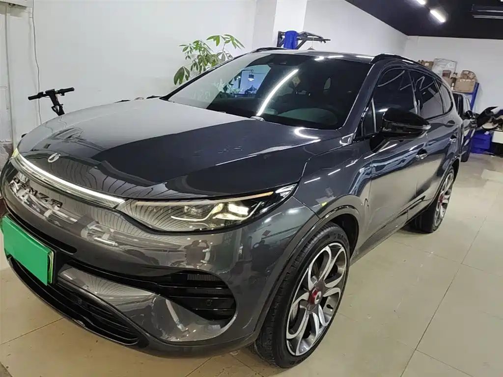 Denza Denza X 2020