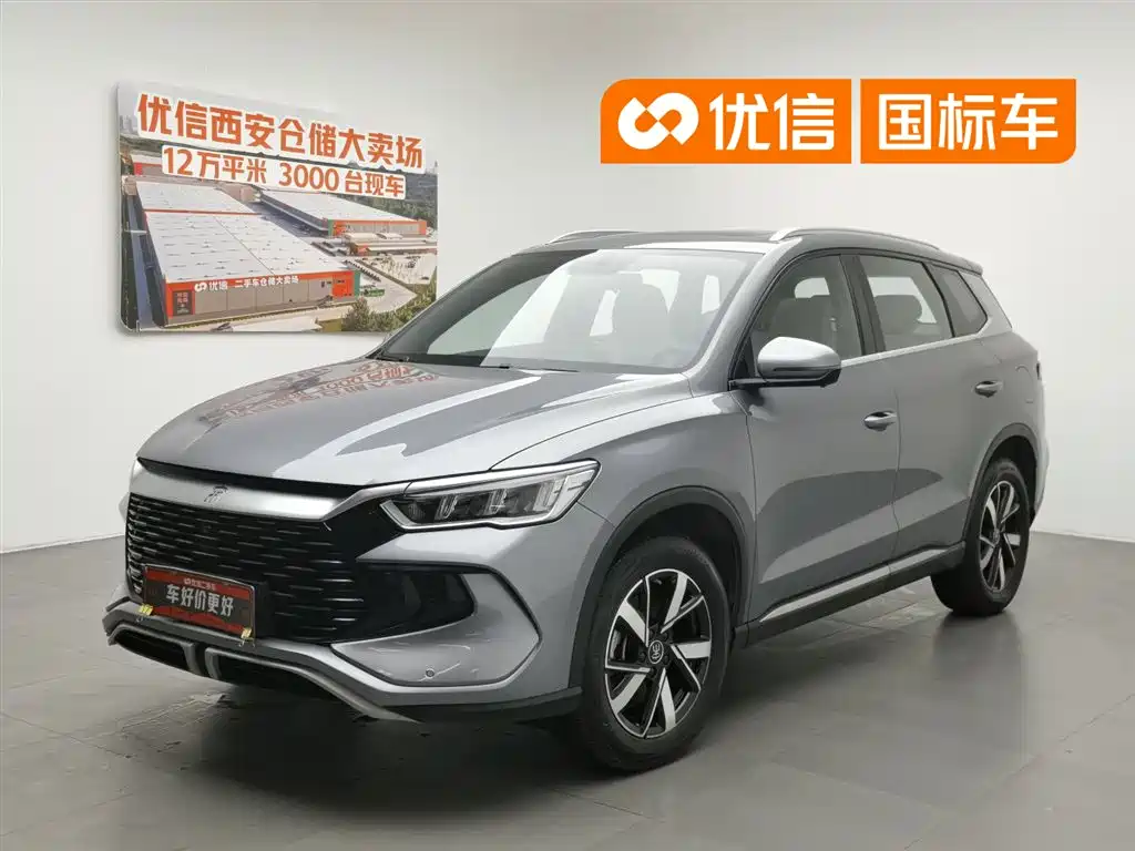 BYD Pro New Energy 2024