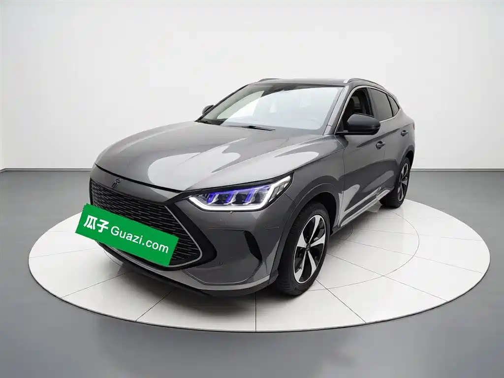 BYD PLUS New Energy 2022