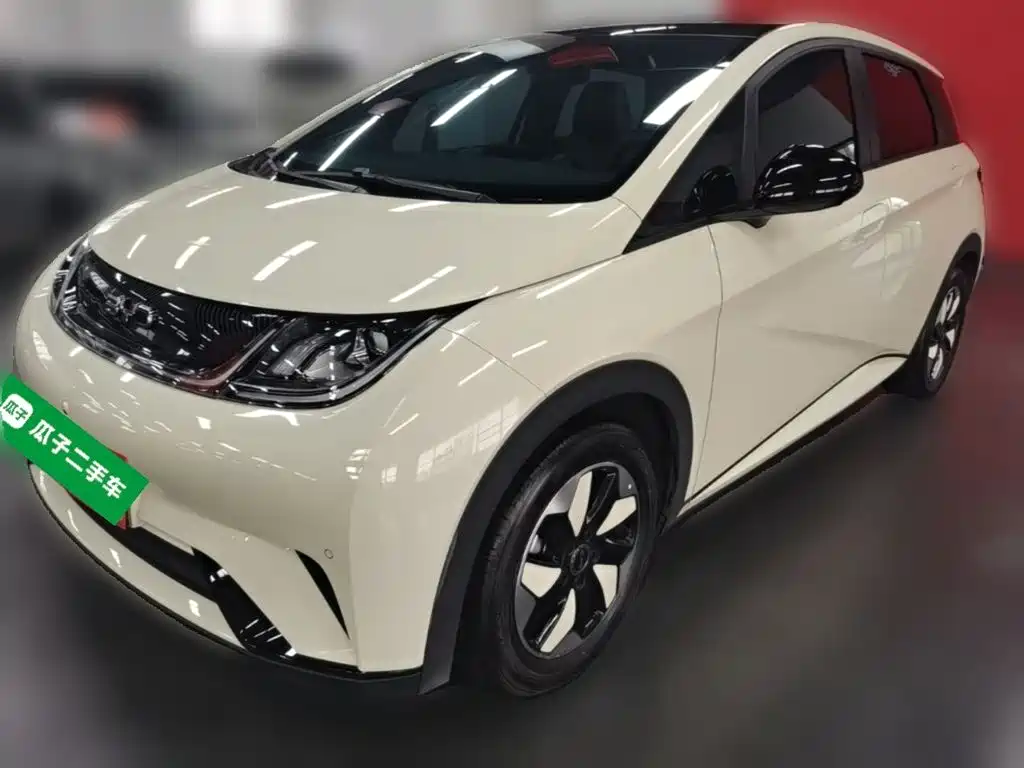 BYD Dolphin 2024