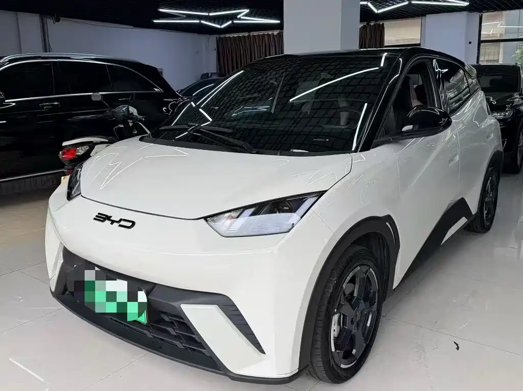 BYD Seagull 2024