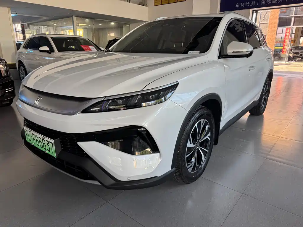 BYD Pro New Energy 2024