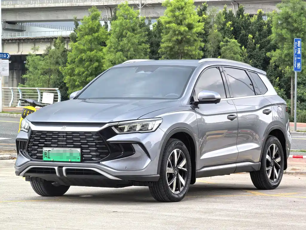 BYD Pro New Energy 2024