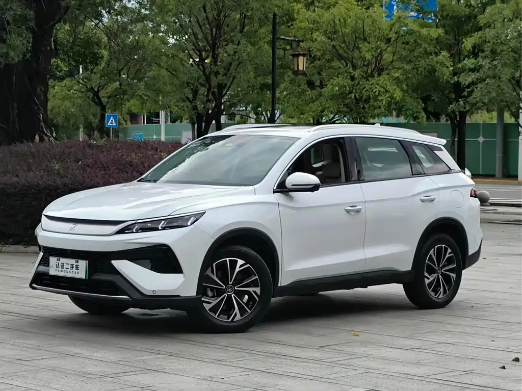 BYD Pro New Energy 2025
