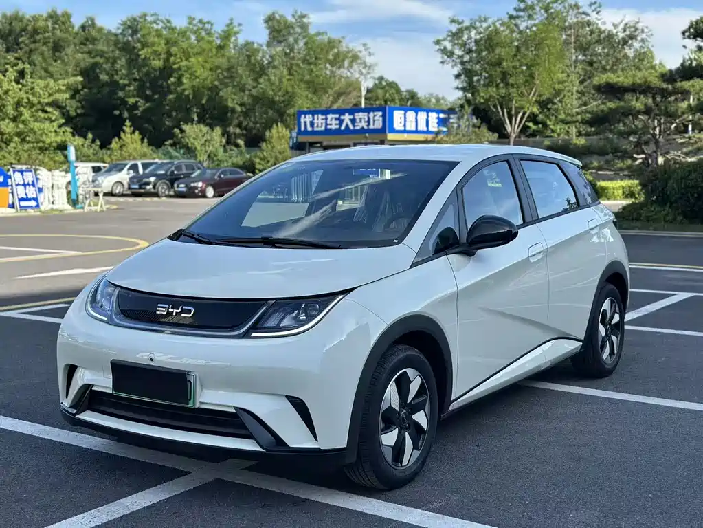 BYD Dolphin 2026