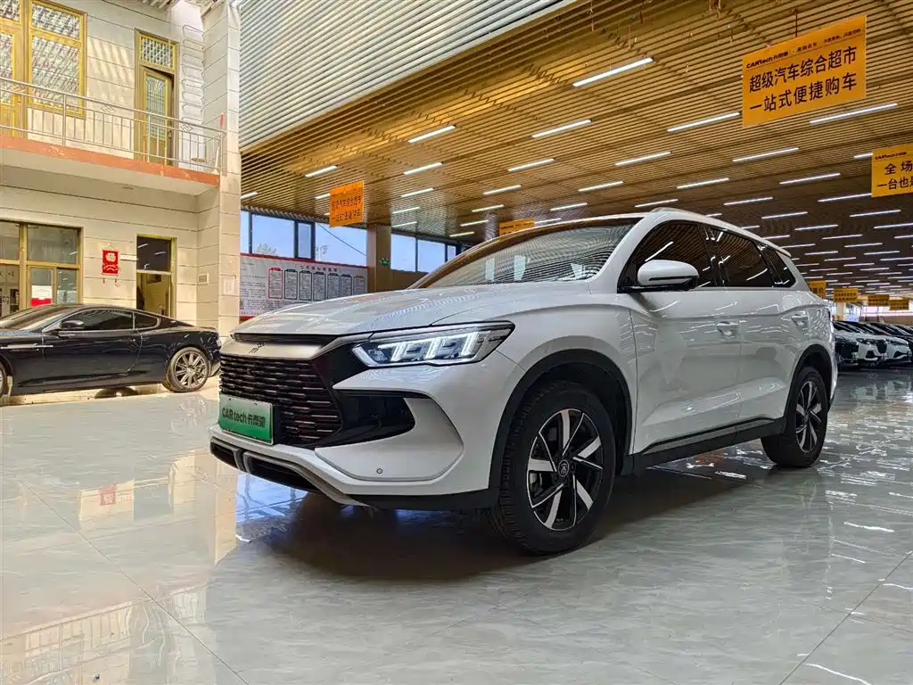 BYD Pro New Energy 2024