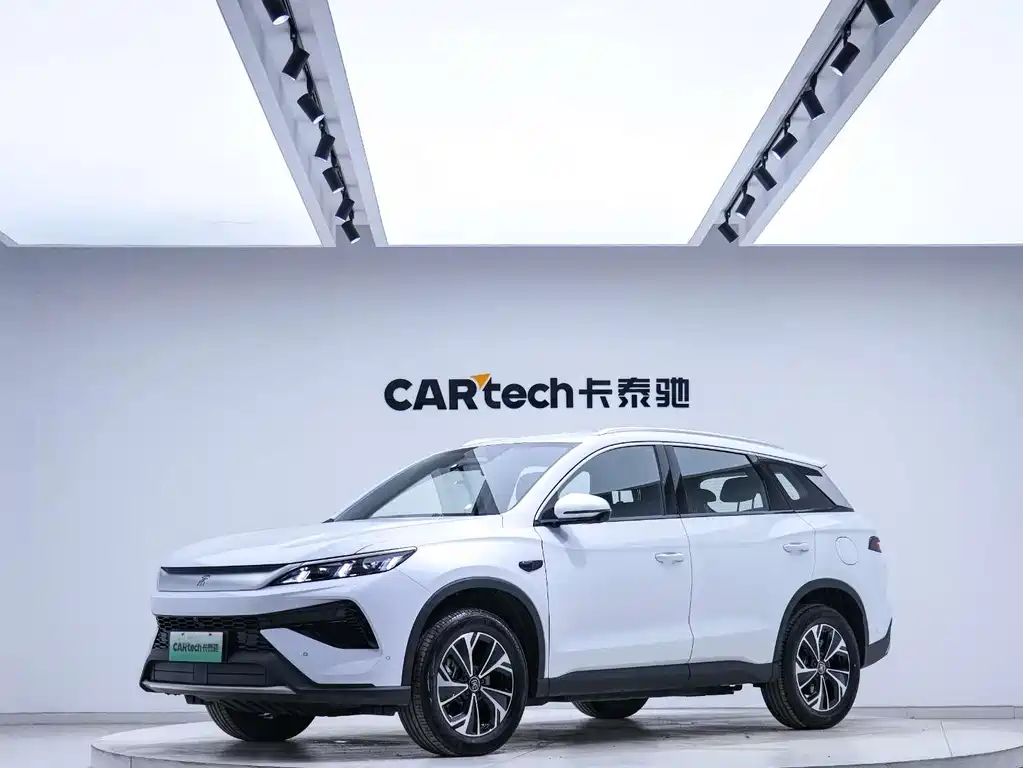 BYD Pro New Energy 2025