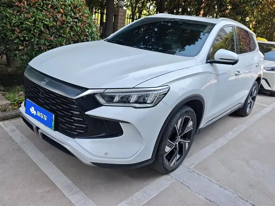 BYD Pro New Energy 2024