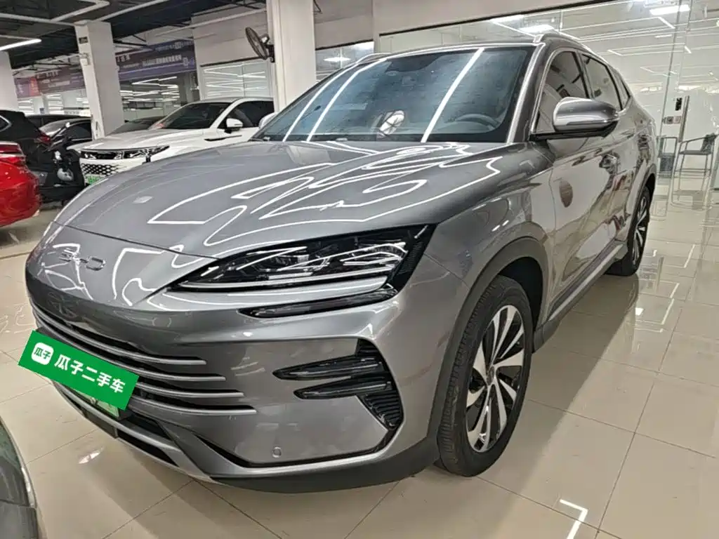 BYD PLUS New Energy 2024